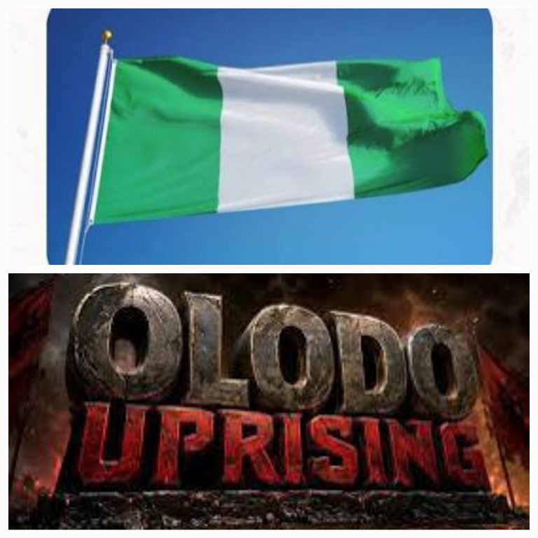 OPINION: “Olodo Uprising” Reflects Society’s Misplaced Priorities, Not Intelligence